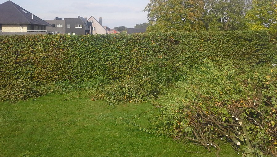 In samenwerking met la Fabrique de jardins